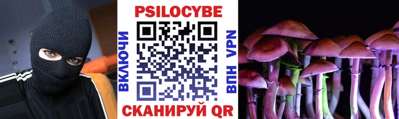 Псилоцибиновые грибы Psilocybe  Сретенск 
